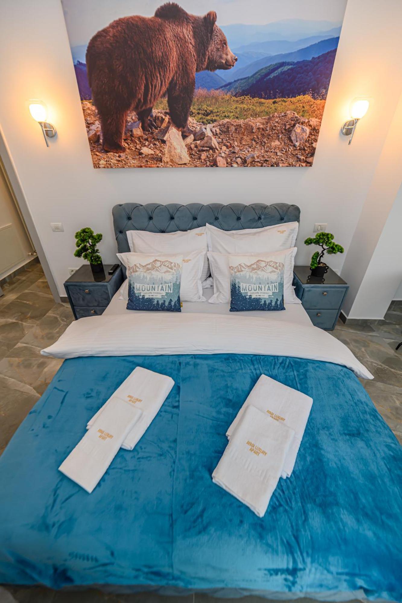 Ayasi Luxury Appartement *